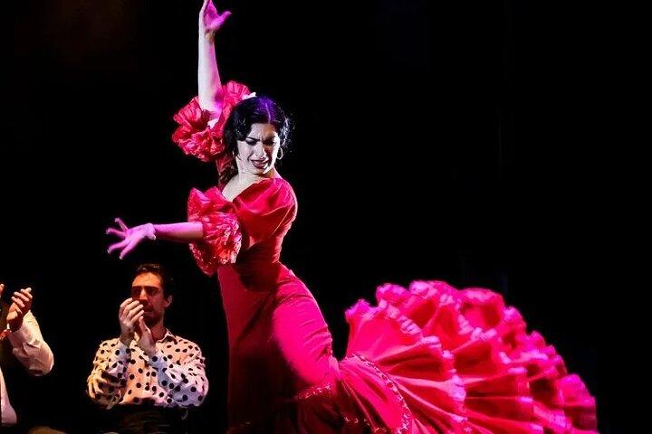 Granada dia e noite: Complete Alhambra e Flamenco Show