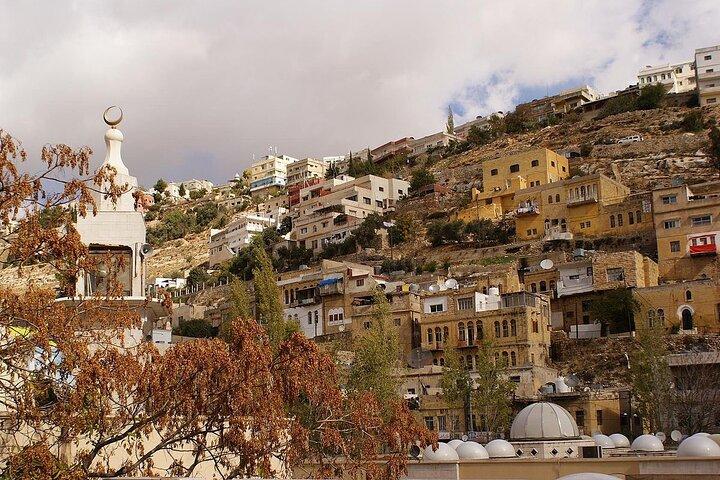 Excursión de día completo a Salt City desde Ammán