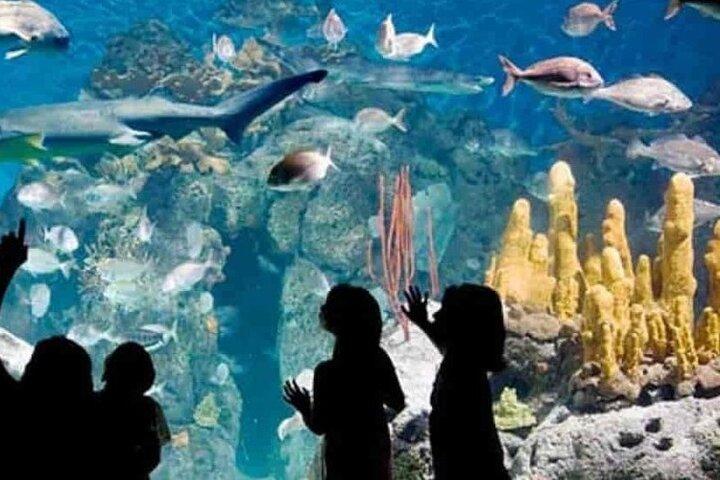 Excursión al Bioparque Temaiken con Traslado Incluido