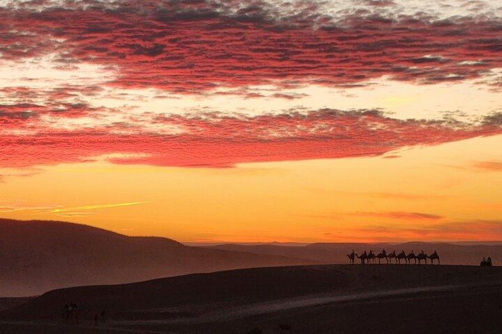 Agafay Desert Sunset Camel Ride with Dinner Show from Marrakech