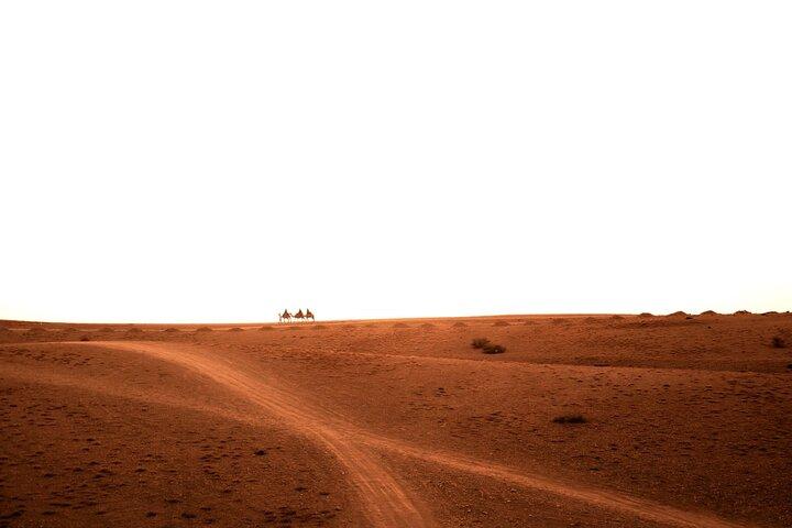 Agafay Desert Sunset Camel Ride with Dinner Show from Marrakech
