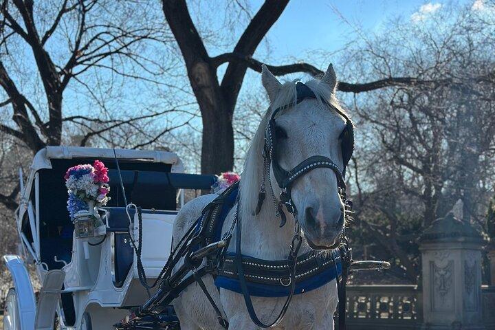 Central Park Carriage Ride NYC:s tidlösa tur