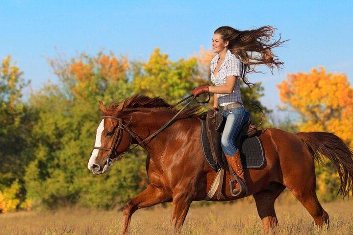 Geführtes Reitabenteuer in Miami Countryside