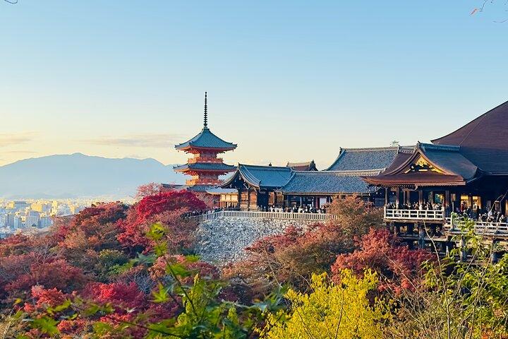 Privat dag i Kyoto Customized rejseoplevelse på engelsk