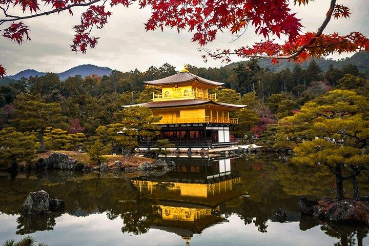 Private Day in Kyoto Individuelles Reiseerlebnis auf Englisch