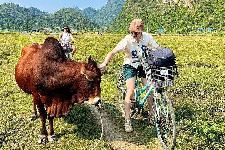 Exklusive private Kanutour Halong und Lan Ha Bay in 4 Stunden