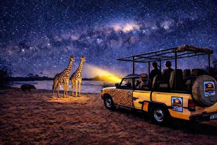 ブッシュ・バイ・ナイト4x4ドライブとガイド付き星空体験 *F-D-ES