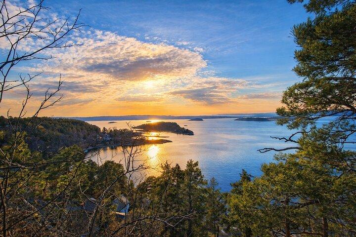 OsloFjord : Malmøya belle île Randonnée guidée-gaufres et boissons