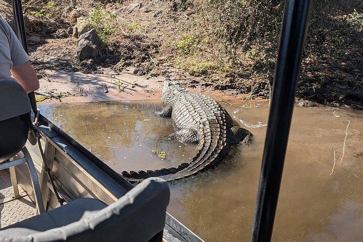 Halbtagestour in Chobe Nachmittagsboot Safari
