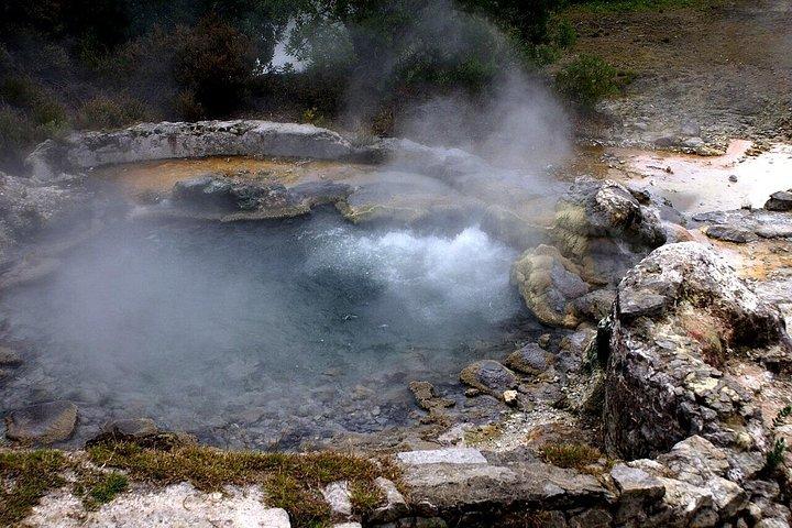 ファーナス火山と火口へのガイド付き訪問 (昼食付き)