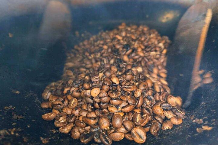 Chiang Rai: Kafferostning och solnedgångstur i Doi Chang