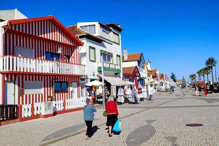 Aveiro Half-Day Small Group Tour from Porto
