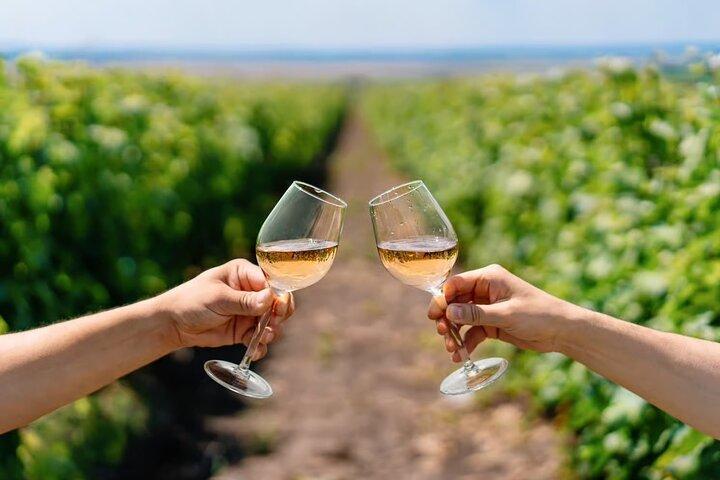 From Lisbon: Évora & Alentejo Wine Tasting Tour