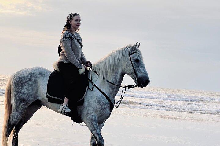 Sunset Beach Horse Ride in diabat Essaouira phooto Shot & Videos