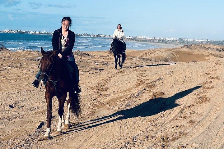 Sunset Beach Horse Ride in diabat Essaouira phooto Shot & Videos