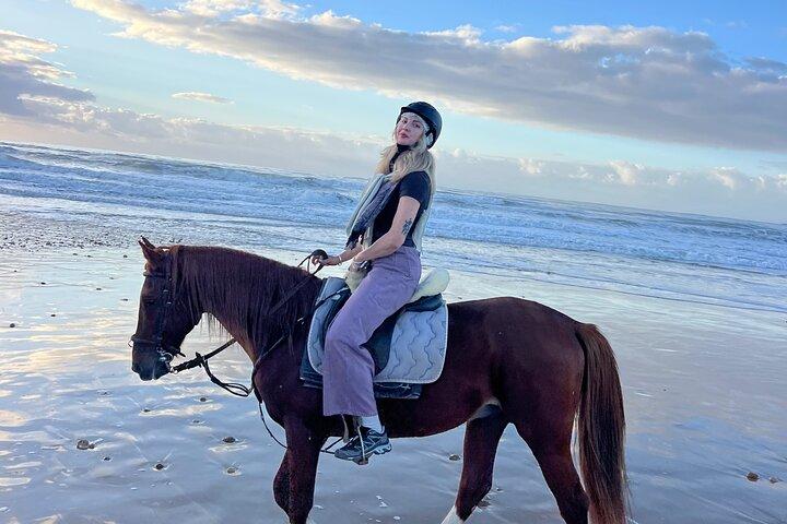 Sunset Beach Horse Ride in diabat Essaouira phooto Shot & Videos