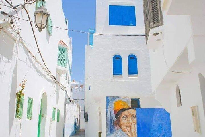 Excursión privada de un día de Tánger a Asilah