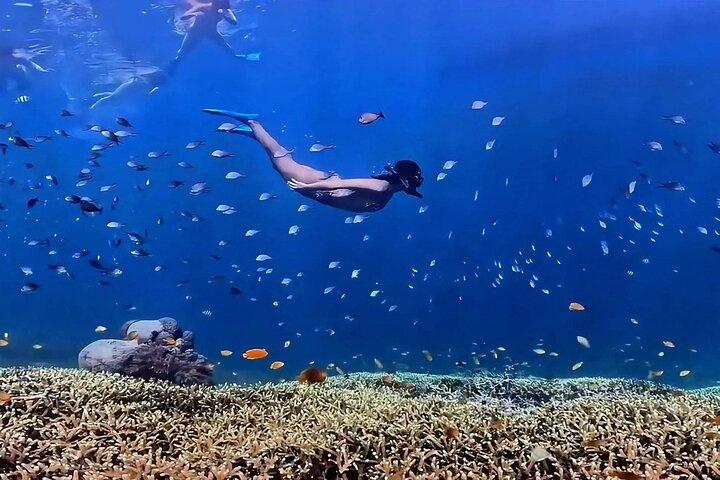 Gili Island Exclusieve privé snorkelen onderwater Escape