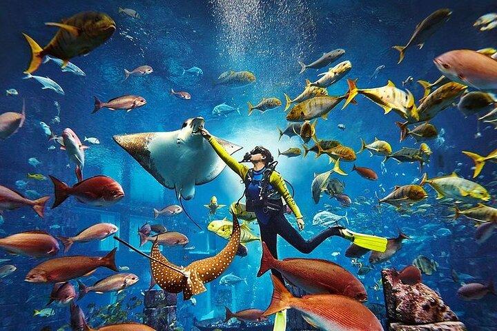 Parco acquatico Atlantis Aquaventure e acquario del mondo perduto