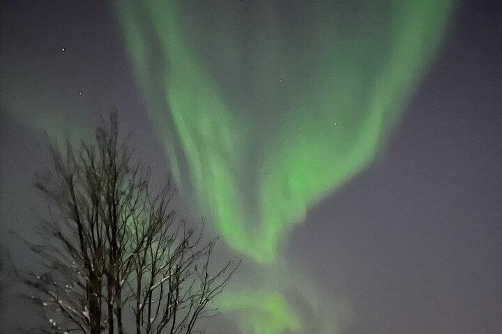 Evening tour: Sledding, mini skiing, lasso and reindeer hides