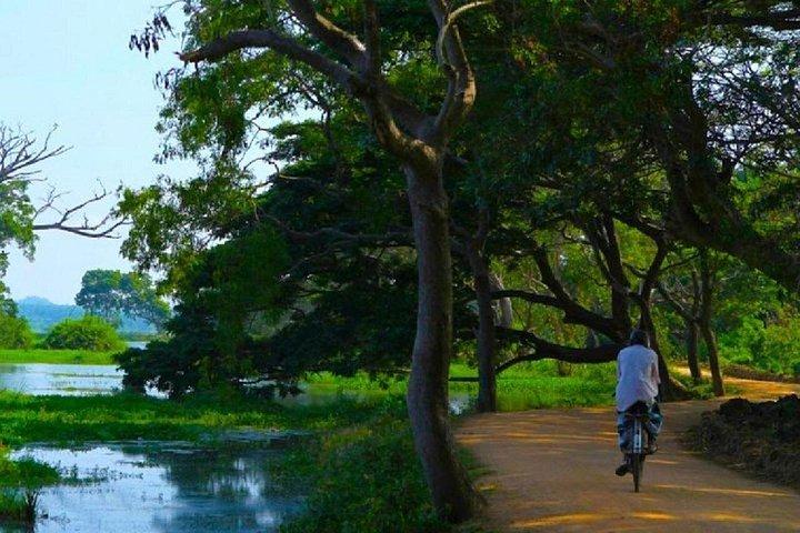 ヤラ村生活体験：トゥクトゥクツアー、地元の工芸品＆お茶