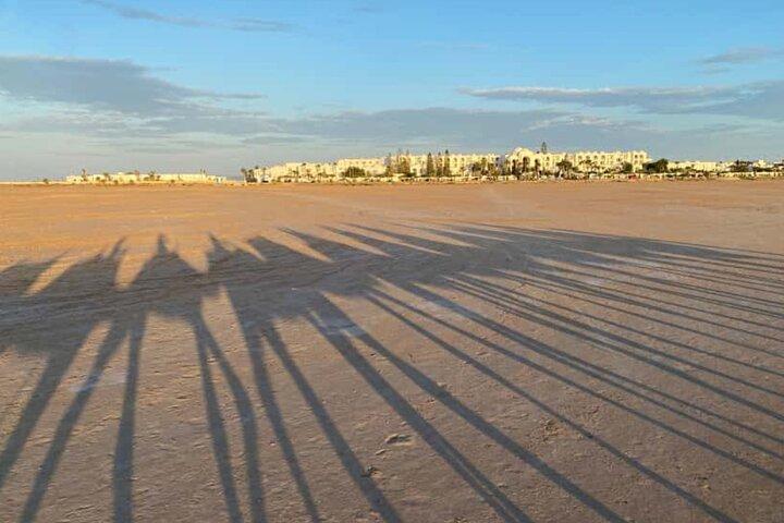 Ekspert Djerba Camel Ride med brugerdefineret rute