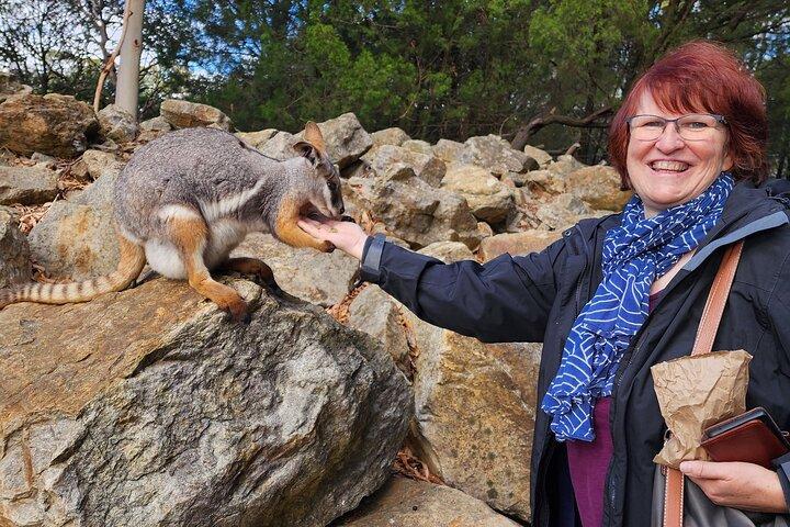 Adelaide Hills Cleland e Hahndorf Tour Premium per piccoli gruppi