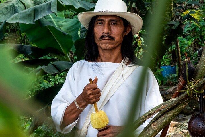 Tour dei sentieri indigeni, caffè, cacao, cascate - Minca