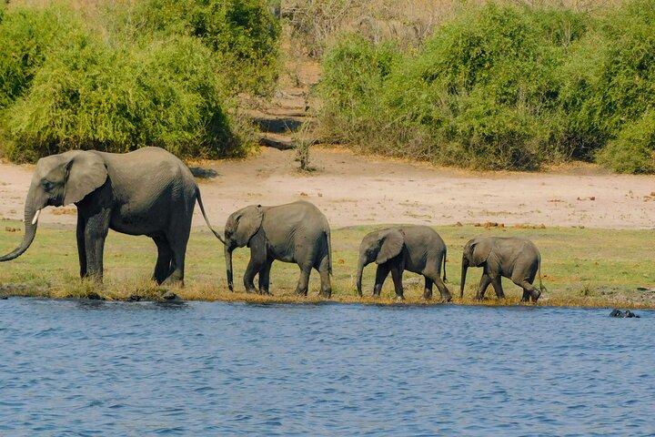 Mosi oa Tunya National Park and Rhino walking Safaris