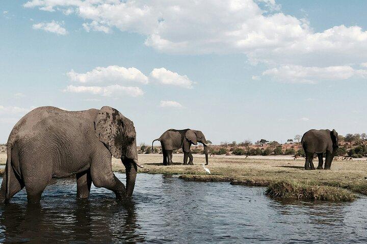 Mosi oa Tunya National Park and Rhino walking Safaris