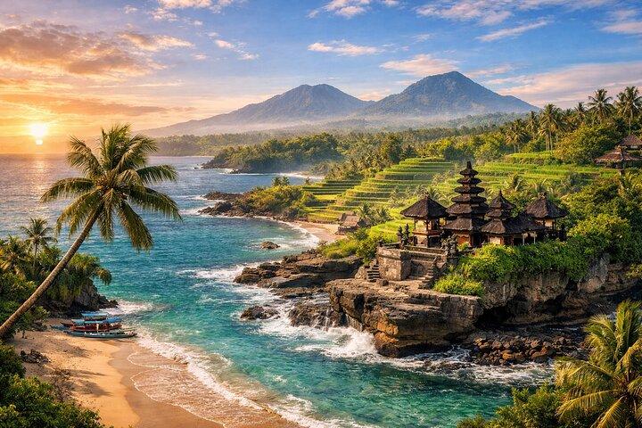 Ubud Bali Fahrer ( Bali Custom Tour )