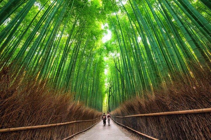Visita privada de Nara e Kyoto a partir de Osaka