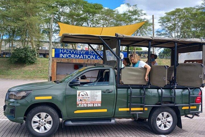 Half Day Shared Kruger Safari Hazyview