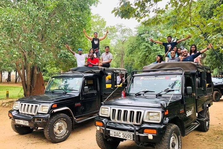 Ultimate Elephant Safari Experience With Gisban Tours