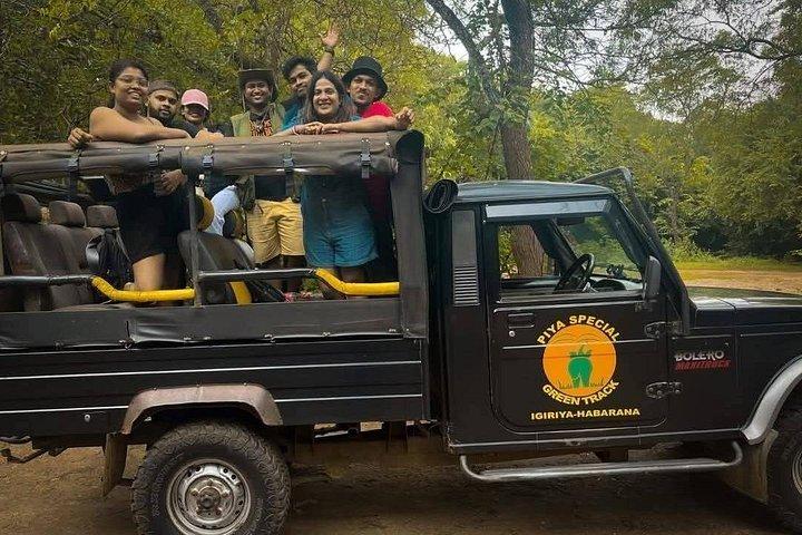 Ultimate Elephant Safari Experience With Gisban Tours