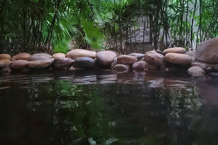 Chongqing Ciqikou Ancient Town and Hot Spring Taxi Tour