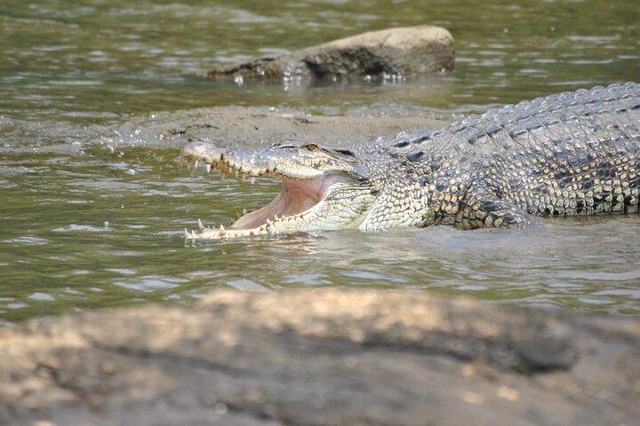 Private 2 Hour River Safari no Rio Bentota