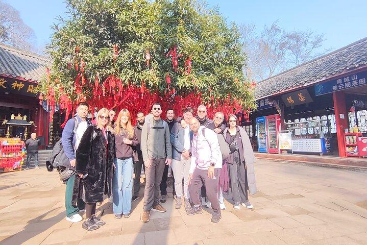 Chengdu: Dujiangyan Irrigation System & Qingcheng Group Tour