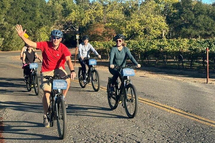 Guidad Healdsburg Wine Country Bike och vinprovningstur med lunch