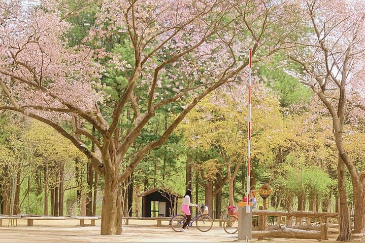 Nami island and Hanbok Wearing and Waterfall from Seoul