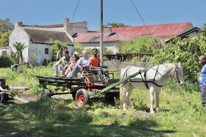 Half-Day Township Tour from Cape Town
