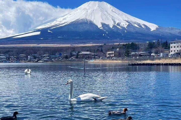 Från Tokyo: Privat tur till Mount Fuji med Engelska Guide