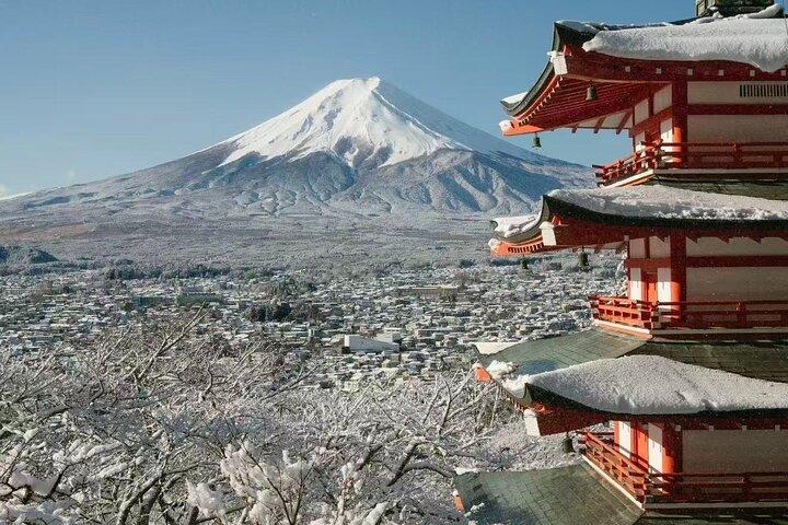 Från Tokyo: Privat tur till Mount Fuji med Engelska Guide