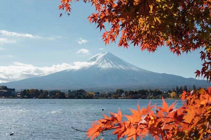Från Tokyo: Privat tur till Mount Fuji med Engelska Guide
