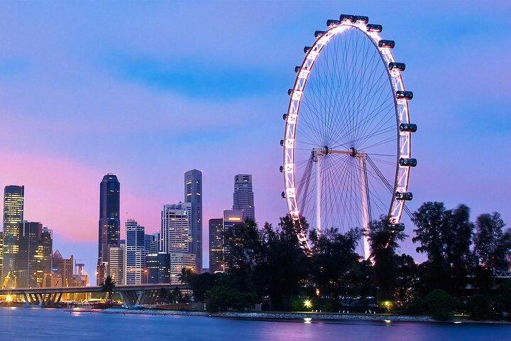 Bilhete de entrada de Singapore Flyer - Entrada flexível