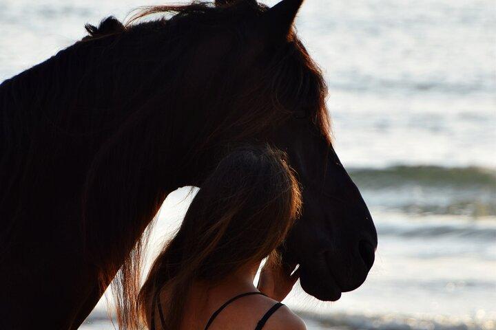 Noordhoek : Balade privée à cheval sur la plage au Cap