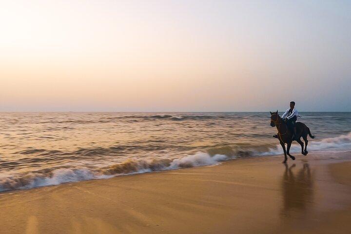 Noordhoek : Balade privée à cheval sur la plage au Cap