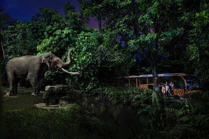 Singapore Night Safari Biglietto d'ingresso con tram