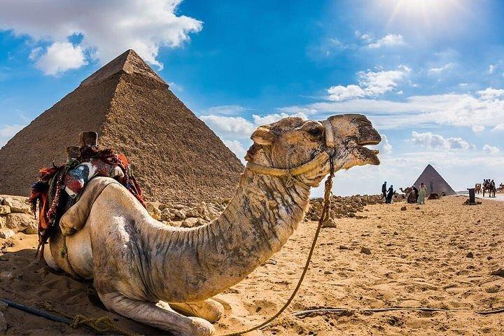 Esperienza privata di lusso Giza Pyramids&Sphinx & Camel Ride & Pranzo
