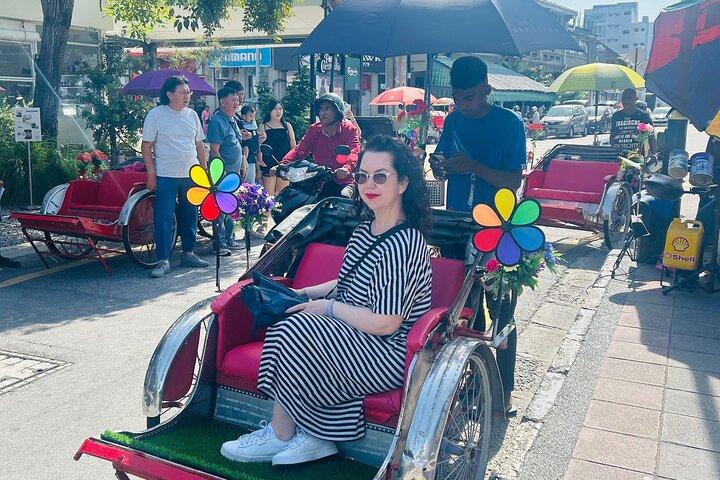 Privat tur i Penang med chauffør (8 timer)